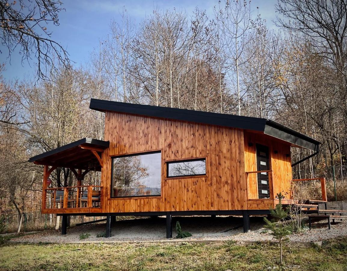 Moodysun Studio, Remote Tiny Home Comarnic Exteriör bild