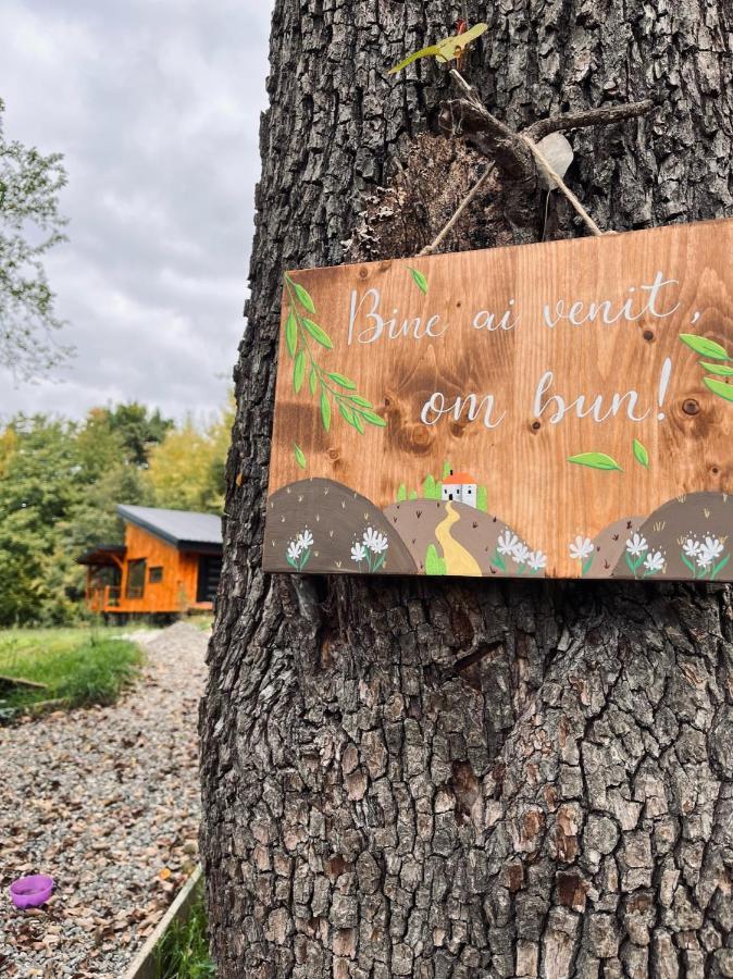 Moodysun Studio, Remote Tiny Home Comarnic Exteriör bild