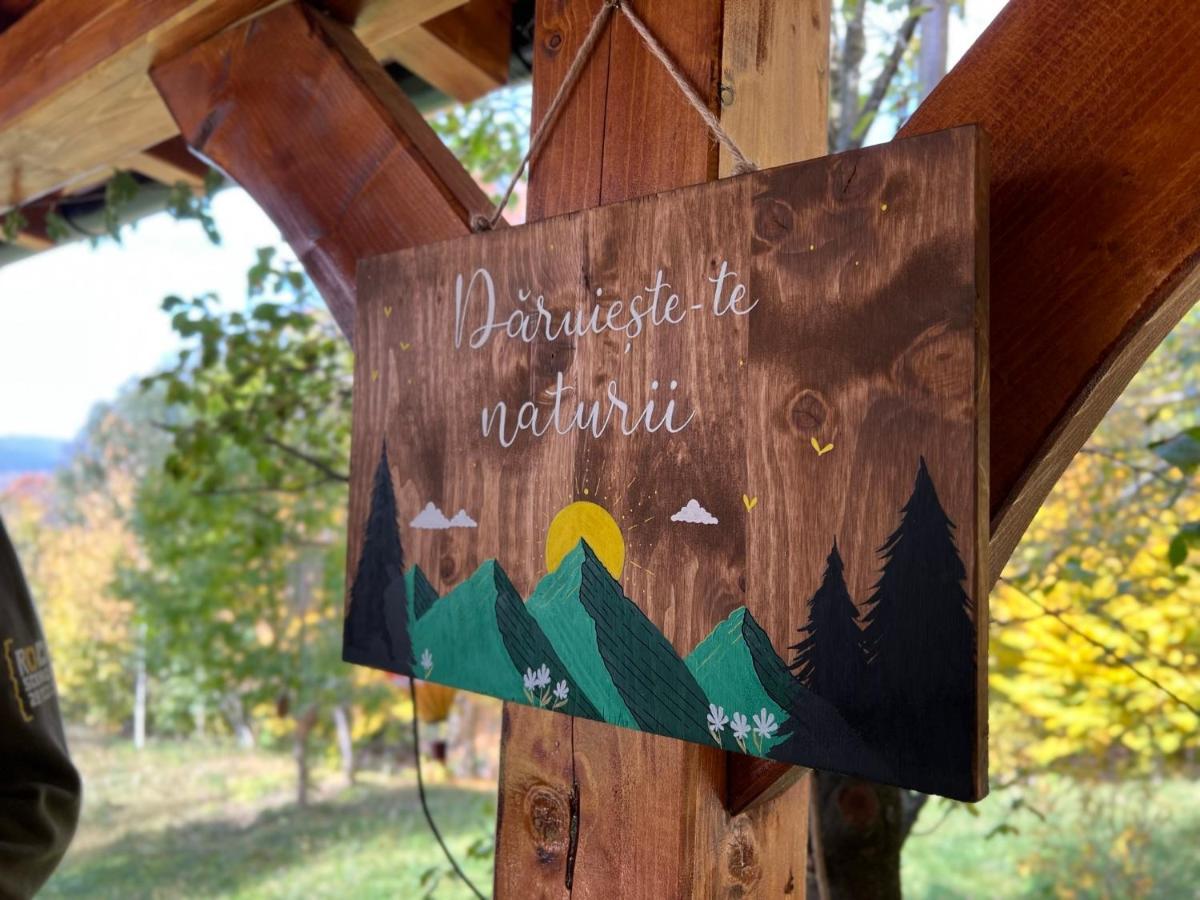 Moodysun Studio, Remote Tiny Home Comarnic Exteriör bild